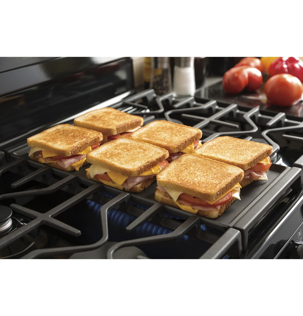 JGBS66DEKBB in use view