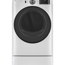 GFD55ESSNWW whole view