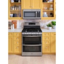 JGBS86SPSS lifestyle