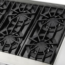 Viking_VGIC53024_5_Series_30"_Open_Burner_Gas_Range_open_burners