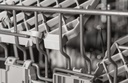 Bertazzoni DW24S3IPV Rack Sliders