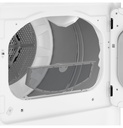 GTD58EBSVWS-Filter