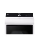 DLEX8600WE-Controls