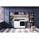 DLEX8600WE-Lifestyle