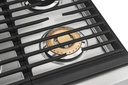 ECFD3668AS Two Brass Power Burners