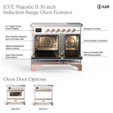 UMDI10QNS3AWG - Oven features