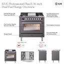 UP36FQMPSS - Overview
