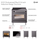 UPI366QMPBG - Overview