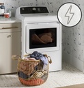 GTD58EBSVWS electric powered dryer