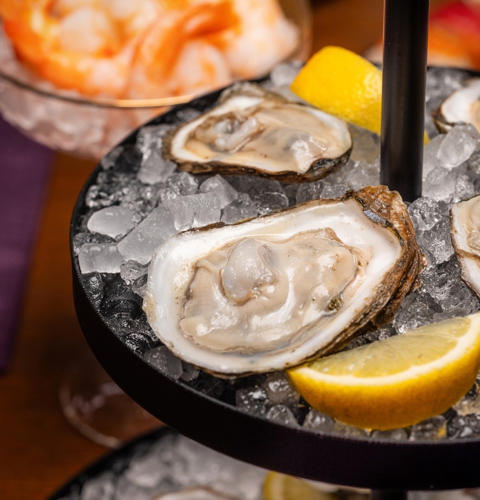 XPIO13BCBT ice in use