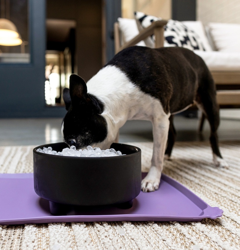 XPIO13SCSS ice cubes