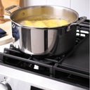 GGS500SVSS boil burner