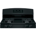GE-JGB635DEKBB-5.0 cu. ft. oven capacity