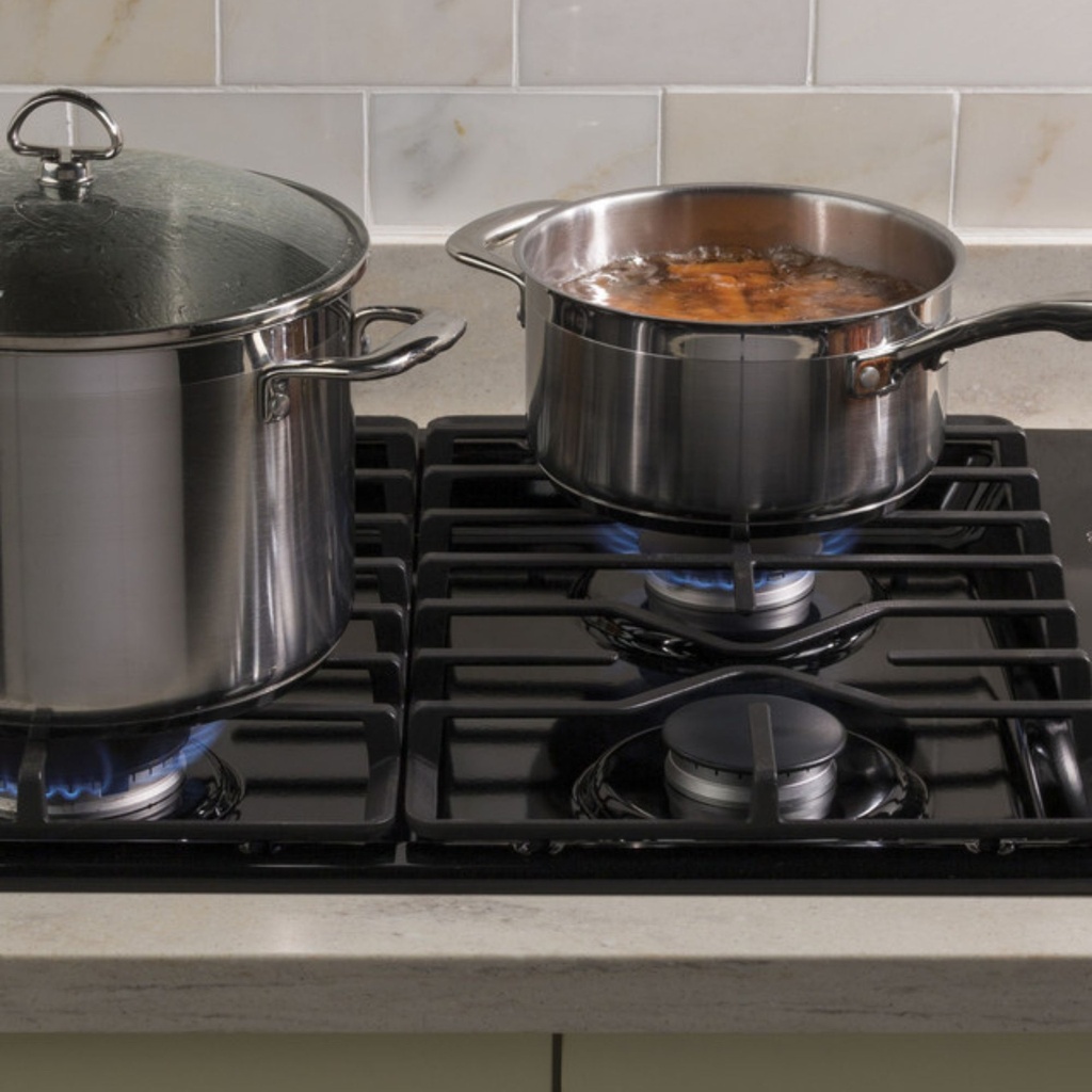 JGP3030DLBB-max burner system