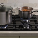 JGP3030DLBB-max burner system