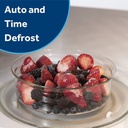 JNM3163RJSS auto and time defrost