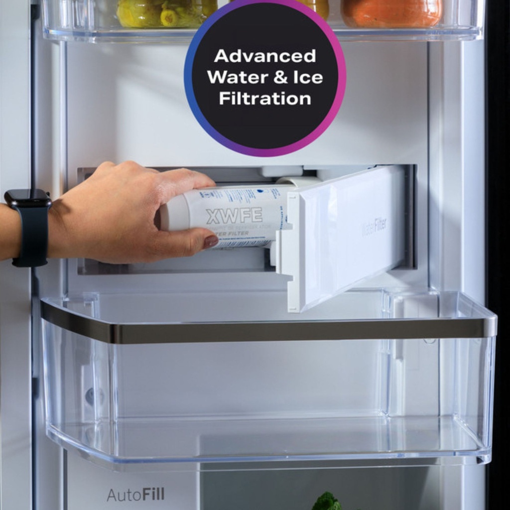 GE-PAD28BYTFS-Advanced water & Ice filteration