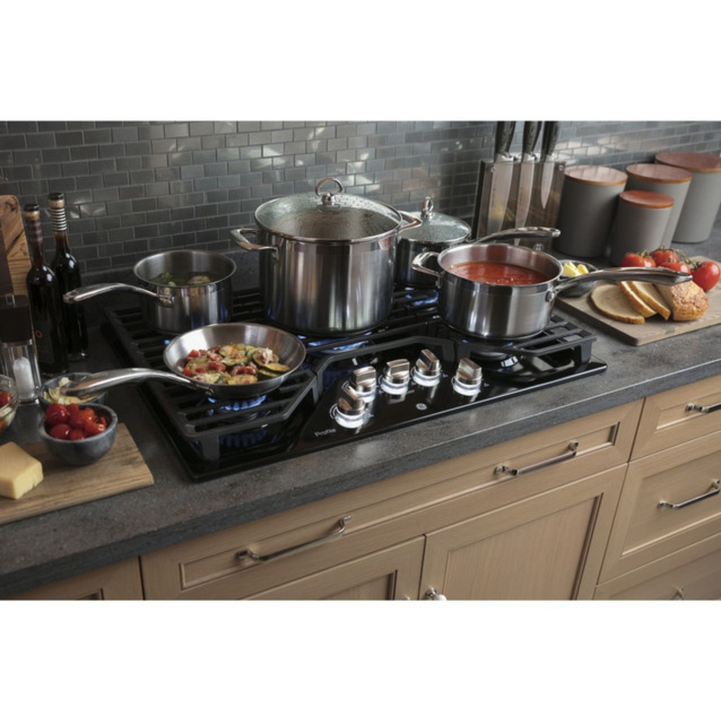 GE-PGP7030DLBB-MAX Burner System