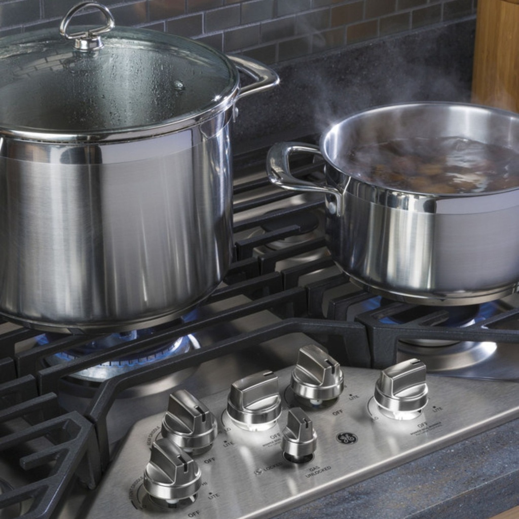 GE-PGP9030SLSS-MAX Burner System