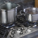 GE-PGP9030SLSS-MAX Burner System