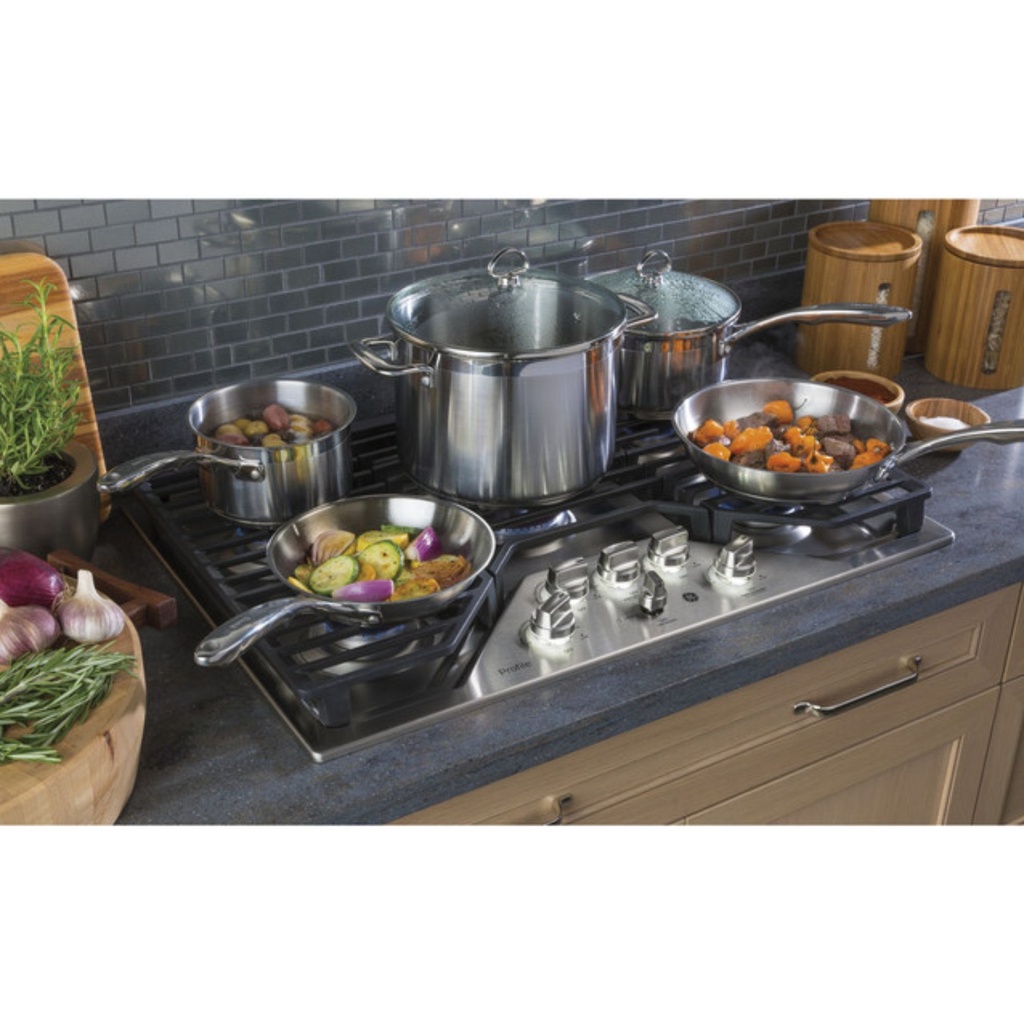 GE-PGP9030SLSS-MAX Burner System