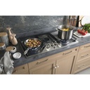 GE-PGP9036SLSS-MAX Burner System