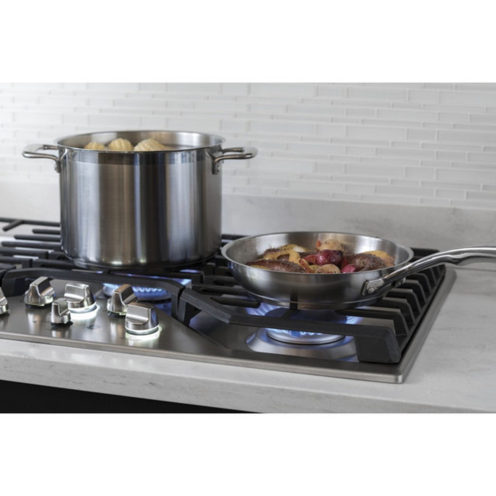 GE-PGP9036SLSS-MAX Burner System