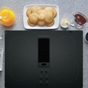 PP9830DRBB downdraft exhaust