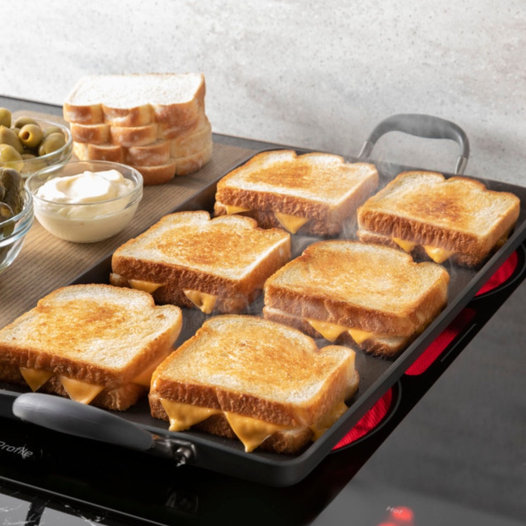 PP9830DRBB bridge element