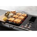 PP9830SRSS bridge element