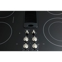 PP9830SRSS knob controls with black glass surface
