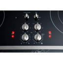 PP9830SRSS hot surface indicator lights