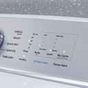 GE-PTD60GBSRWS-My Cycle