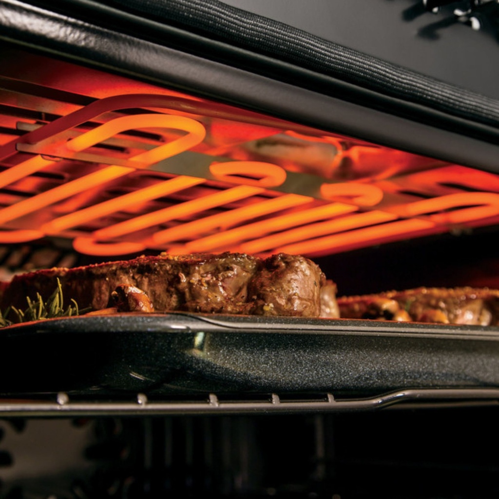 PTD9000SNSS 10-pass dual-broil element