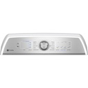 GE-PTW600BSRWS-Control panel