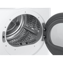 Samsung-DV25B6900HW-drum view